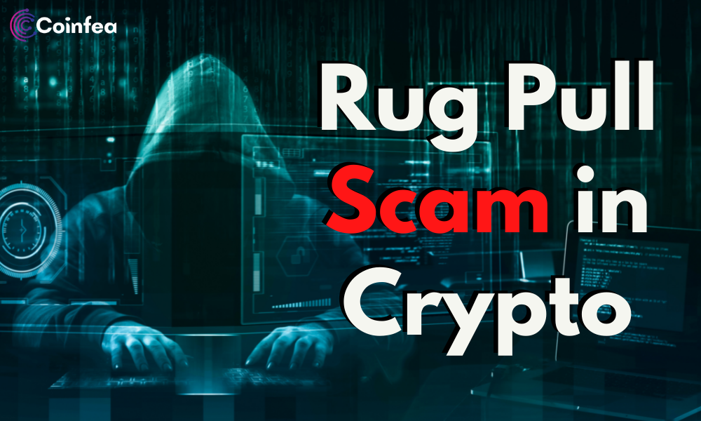 rug pull scam