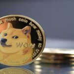Dogecoin Outshines Bitcoin on Election Day Amid Market Dip