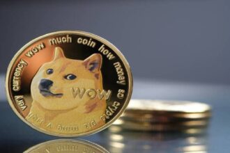 Dogecoin Outshines Bitcoin on Election Day Amid Market Dip