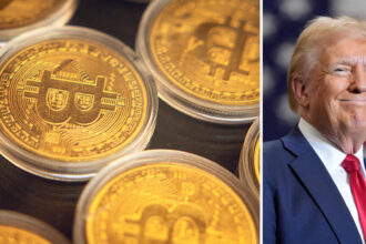 Crypto CEOs Hold High Expectations for Donald Trump’s Presidency