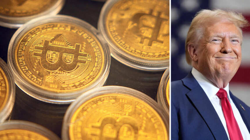 Crypto CEOs Hold High Expectations for Donald Trump’s Presidency
