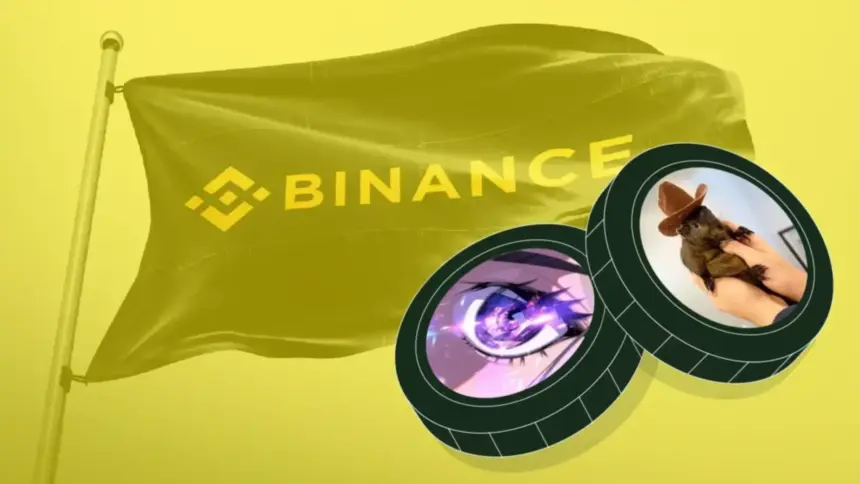 Binance CMO Emphasizes That Meme Coin Listings Are Not Guaranteed