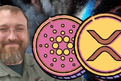 Cardano