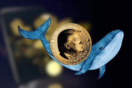 Whales