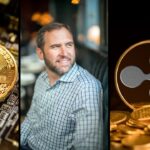 Ripple CEO