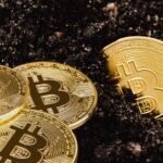 Bitfinex