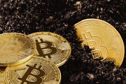 Bitfinex