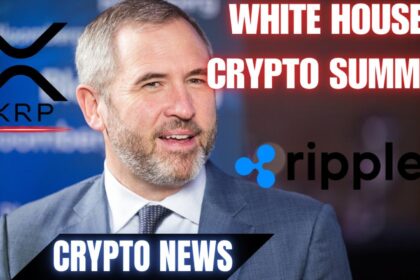 Ripple CEO Urges Fair Regulations Following White House Crypto Summit