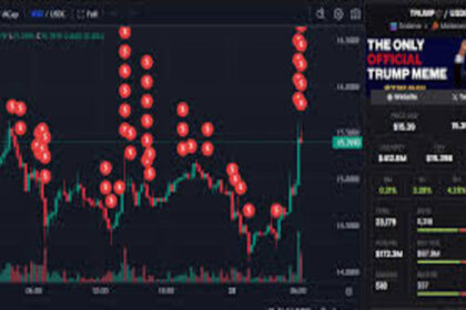 TRUMP Token Attracts Smart Money as Meme Coin Market Rebounds