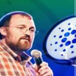Cardano Founder Likens Memecoins to Short-Lived Celebrity Fame
