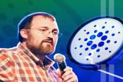Cardano Founder Likens Memecoins to Short-Lived Celebrity Fame