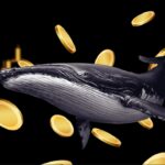 Whales