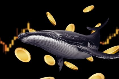 Whales
