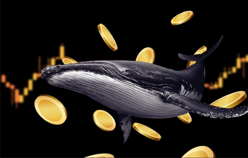 Whales