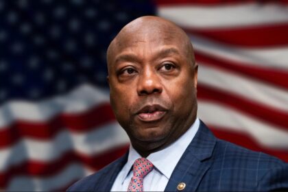 Senator