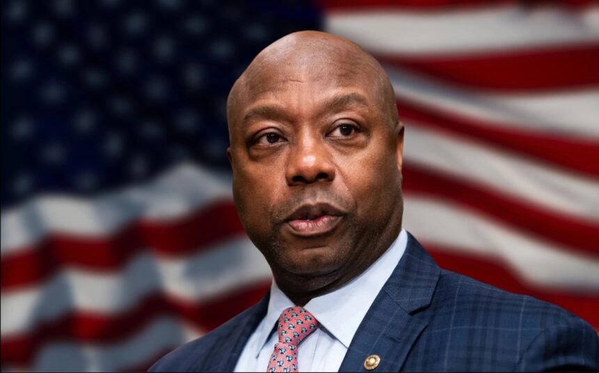 Senator