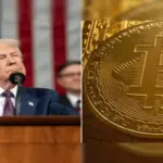Crypto market tumbles as Trump-Musk feud rattles investor confidence