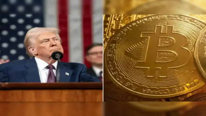 Crypto market tumbles as Trump-Musk feud rattles investor confidence