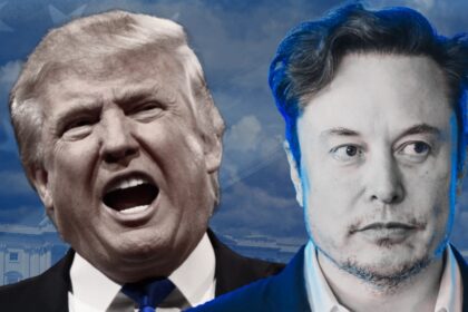 Elon