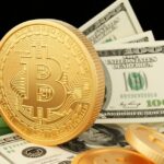 Indian Student Remanded in $457,000 Crypto Fraud Case