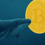 Whales Are Aggressively Stacking Up More Bitcoin and Ethereum Amid Market Surge