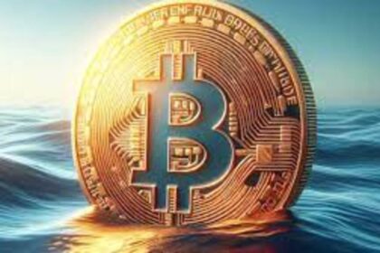 Bitcoin Whale Buys 300 BTC Daily as Market Slumps Below $113K