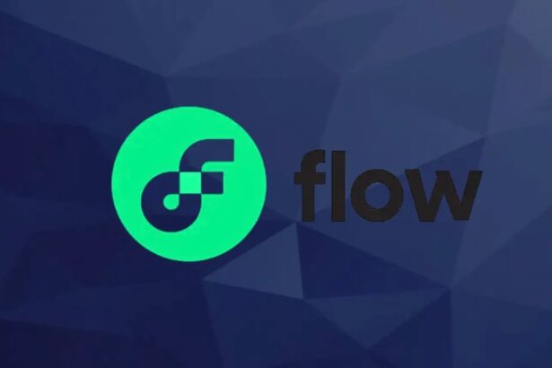 Flow