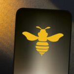 Hive