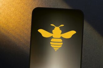 Hive