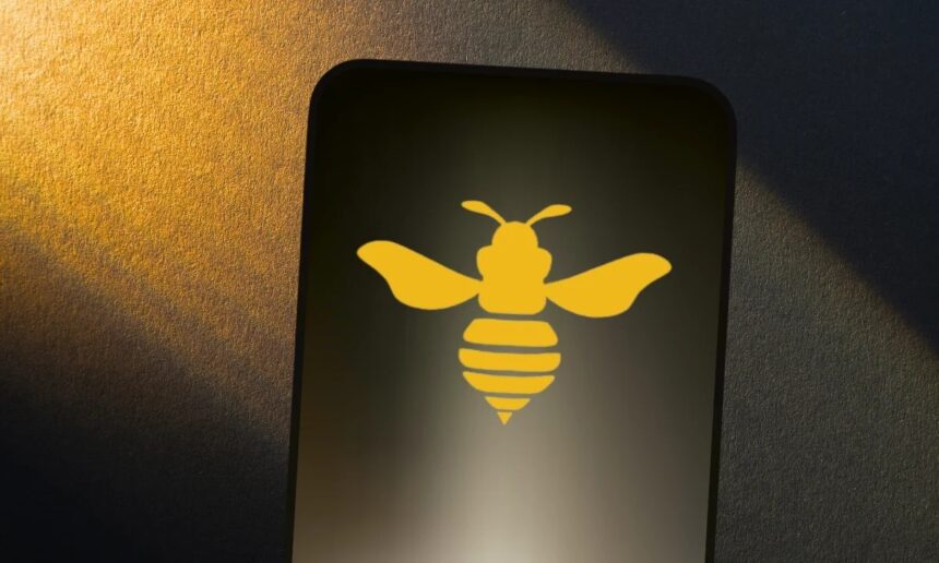 Hive